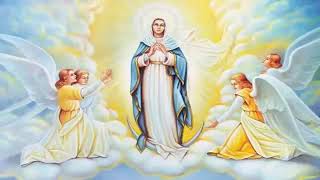 Holy Rosary - Sorrowful Mysteries - Tuesday & Friday