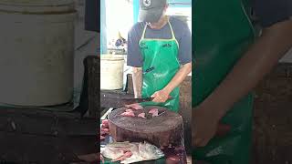 Slicing very fresh tuna meats #shorts #fyp #tunacuttingskills #food #reels #mukbang #seafood