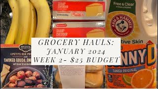 2024 Grocery Budget Challenge; $100 January Budget for a Family of 4