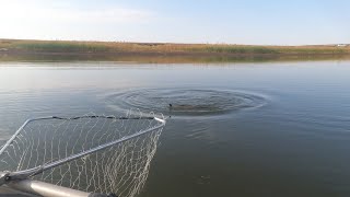 Пытаюсь поймать Щуку. Рыбалка в середине сентября