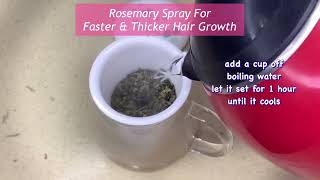 Rosemary for Hair Growth: Stop Hair Falls, Grow Hair Faster