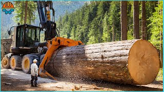 202 Amazing Heavy Duty Chainsaw Machine Working At Another Level