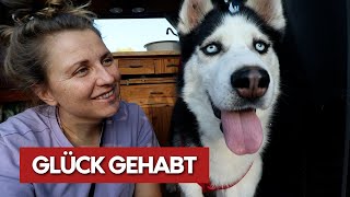 Probier's mal mit Gemütlichkeit | GLÜCK gehabt | VANLIFE Germany