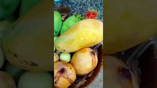 Pakistani fruits #shortvideo #food #youtubeshorts