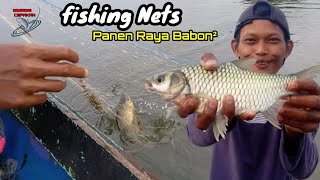 Luar Biasa..!! Jaring Ikan Di Waduk Mrica Hasilnya WoW diLuar Dugaan || NETS FISHING