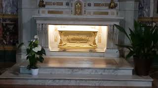 Chapel with 7000 Relics of Saints, St Don Bosco, St Dominic Savio, St Marie, Turin, Italy