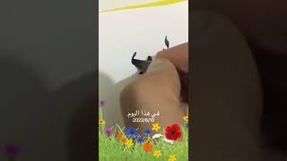 اكتب بخط جميل