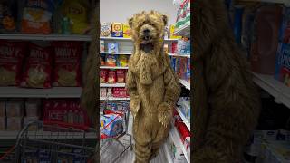 Grizzly Bear Caught Shopping 🛒🐻