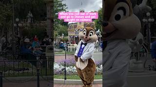 Caught on camera #disneyparks #callouts #disneyland #vacation #disney #chipmunk #chipanddale #viral