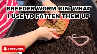 Let’s Put Some Weight On These Worms #worms #wormcomposting #vermicomposting