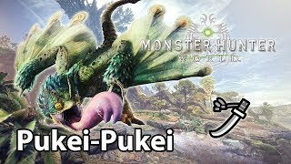 C4Platinum Presents Monster Hunter World #3 WTH is a Pukei-Pukei