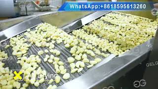 Garlic Peeling Processing Line To Make Granules Of Garlic