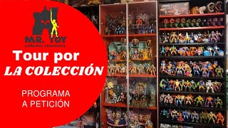 Mr Toy Collector Tour Colección Masters del universo Masters of the Universe Motu heman skeletor