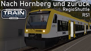 Zwei LOKFÜHRER plauschen | BR 650 - Hausach Konstanz | LET'S PLAY Train Simulator Classic