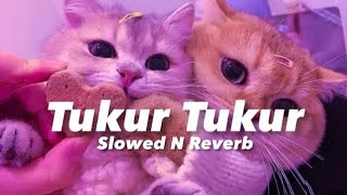 Tukur Tukurn -Dilwale (Slowed & Reverb) Shah Rukh Kha | Kajol | Varun | Kriti | Official New Song