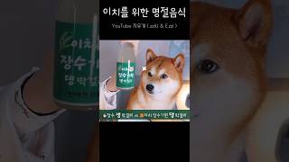 [짧개] 강아지 전용 명절음식