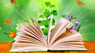 Beautiful Books | Amazing Dpz | Cute Wallpapers @Nature Beautiful Wallpapers