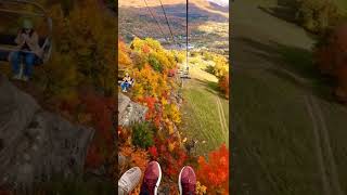 show me a beautiful view #beautifulview #fallfoliage #mountaintrip #travelvideos #adventure #shorts