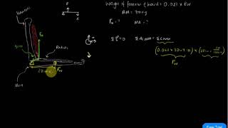 Equilibrium, balance and levers   Part 2