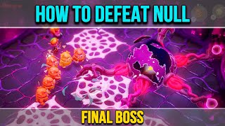 How To Defeat Null Final Boss Zelda Echoes of Wisdom