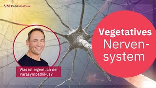 Kannst du dein autonomes Nervensystem durch Ernährung und Bewegung beeinflussen? Alex Koch erklärt