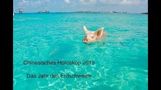 Chinesisches Horoskop 2019 - Das Jahr des Erdschweins