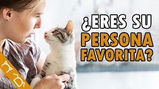 Si Tu Gato Hace Eso, ¡Eres Su Número 1!