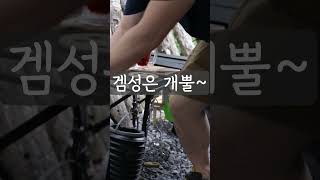 캠핑은 겜성 이지만..... #camping #계곡차박