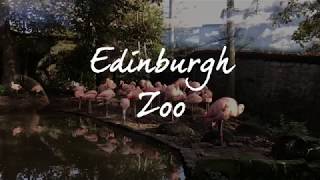 Edinburgh Zoo