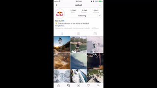 Red Bull Instagram Story