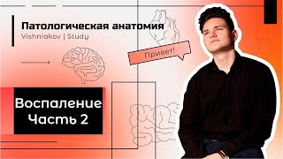 Патологическая анатомия | ВОСПАЛЕНИЕ. Часть 2