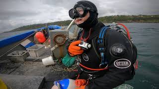 Sh*tty vis Saturday. Guernsey Channel Island Diving