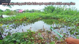 mancing di celah rerimbunan tanaman air