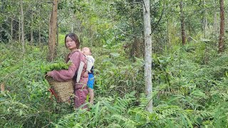 Mẹ Đơn Thân17: hai mẹ con đi hái rau dớn rừng đi chợ bán