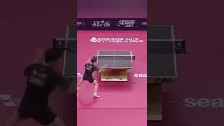 Stunning!! 🤩🤩 🏓 Timo Boll vs Ma Long #tabletennis #shorts