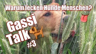 Gassi Talk #3 / Warum lecken Hunde Menschen?