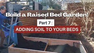 Building a raised bed vegetable garden: adding soil