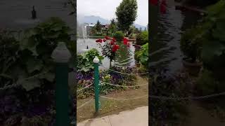 #kashmir #garden#fountain #water #flowers