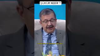 ŞÜKÜR NEDİR   HAYATİ İNANÇ