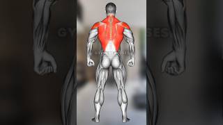 Build your back #backexerciseswithdumbells #backexercises back exercises | back workout