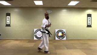 Taekwondo: Basic Kicking Combinations