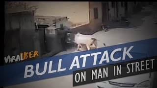 Bull Attacks Man On The Street