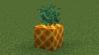 how to make a pineapple in minecraft