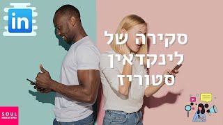 סקירה של לינקדאין סטוריז