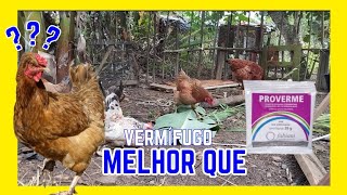 MELHOR Alimento Para VERMES em GALINHAS Melhor Que Proverme -