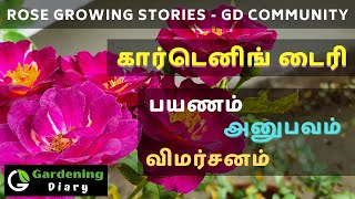 கார்டெனிங் டைரி ரோஸ் நடவு  வளர்ப்பு ஸக்ஸஸ் - ஒரு பார்வை | Inspirational stories by GD Community