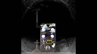 Detecting Ghosts in the Cemetery with the Spooky Fuzz 👻 #Halloween 🎃