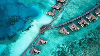 МАЛЬДИВЫ | Jumeirah Vittaveli  [4K]