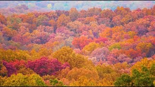 Autumn 2022 at Brown County State Park and Yellowwood State Forest in Brown County, Indiana