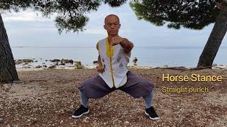 Shaolin Kung Fu Class 3: Horse Stance